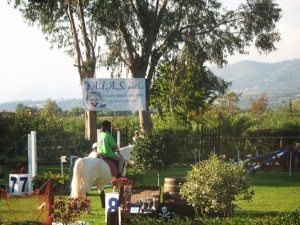 The Horse Day - Agosto 2010